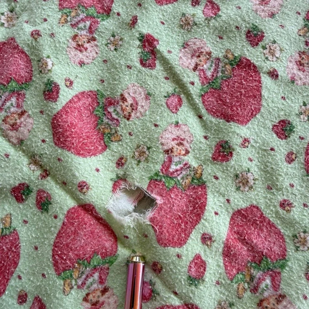 Vintage 2003 Strawberry Shortcake Green Flannel Blanket 43x32 Double Layer